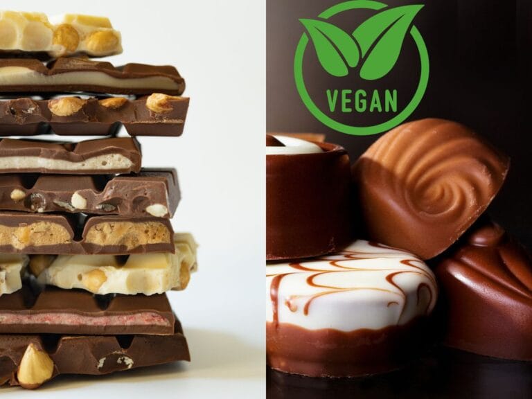 The Best Popular Vegan Chocolate Brands for Real Chocolate Lovers