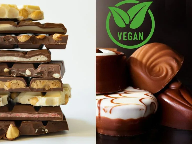 The Best Popular Vegan Chocolate Brands for Real Chocolate Lovers